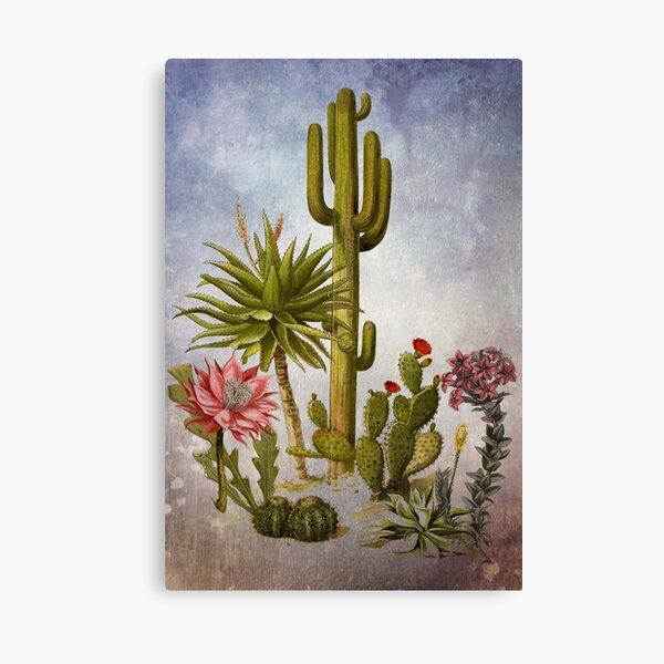 DESERT BEAUTY 2 Canvas Print