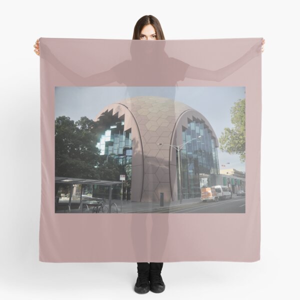 Item preview, Library,Geelong,Victoria,Australia 2017 designed and sold by muz2142.