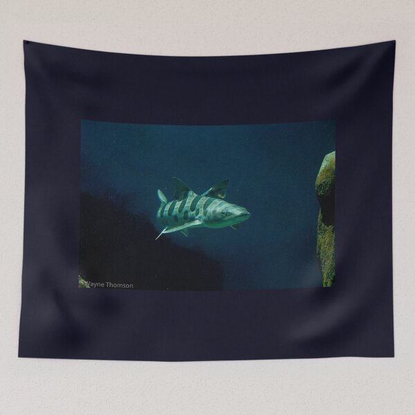 Item preview, Leopard Shark designed and sold by Wayne Thomson.
