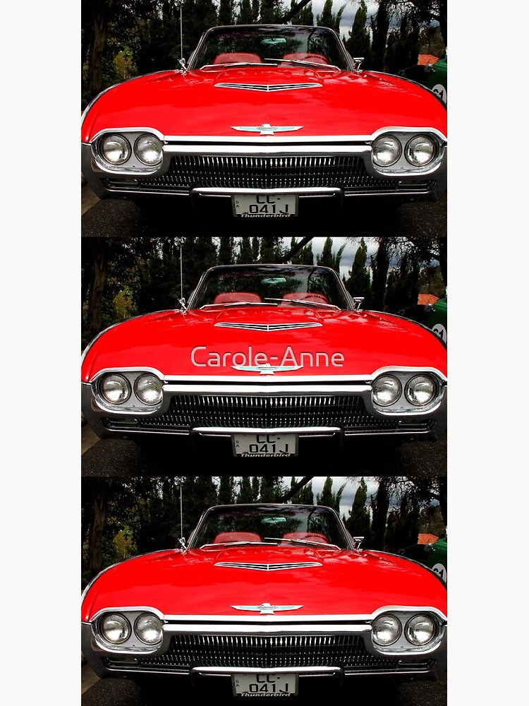 Ford Thunderbird 1963 Model Front End by Carole-Anne