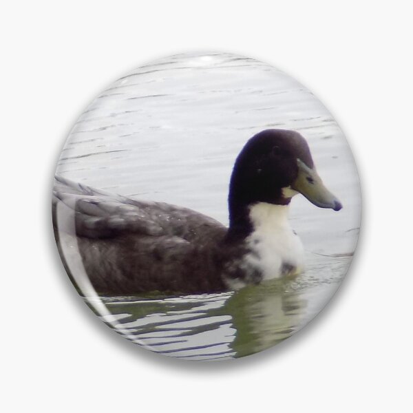 Item preview, Black-bellied Whistling Ducks (Dendrocygna autumnalis) & Domestic Mixes designed and sold by Inuyasha907.