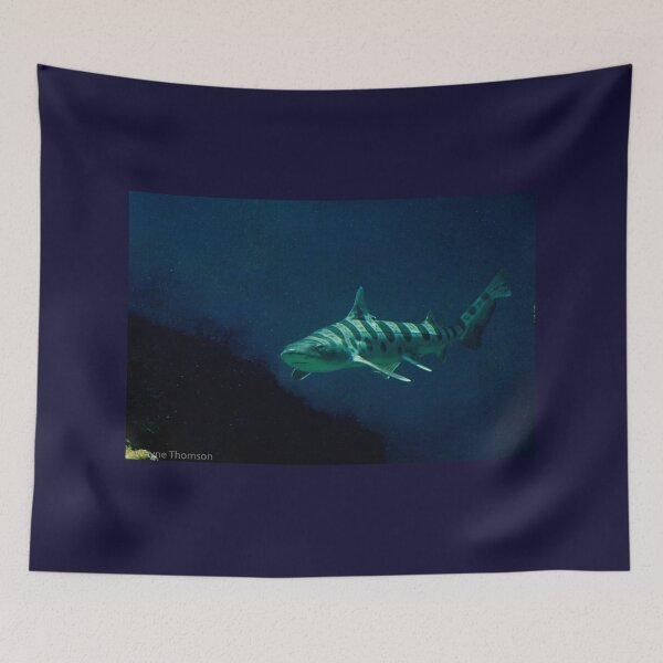 Item preview, Leopard Shark 2 designed and sold by Wayne Thomson.