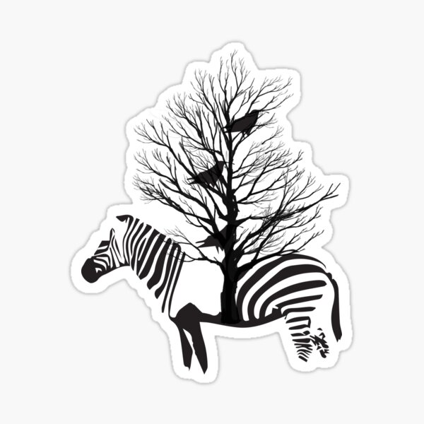 yeezy zebra drawing