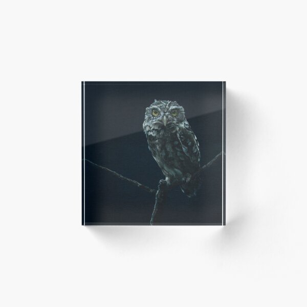 Little Owl Acrylic Block