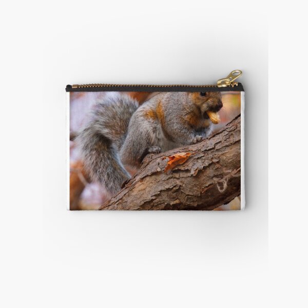 Item preview, My Friendly Happy Hungry Dancing Squirrel ©  designed and sold by © Hany G. Jadaa © Prince John Photography.
