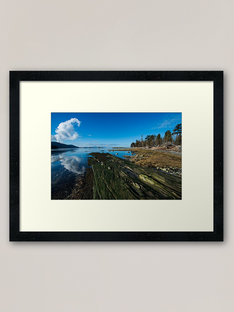 Alternate view of Cabbage Island Marine Park: Afternoon in January Framed Art Print