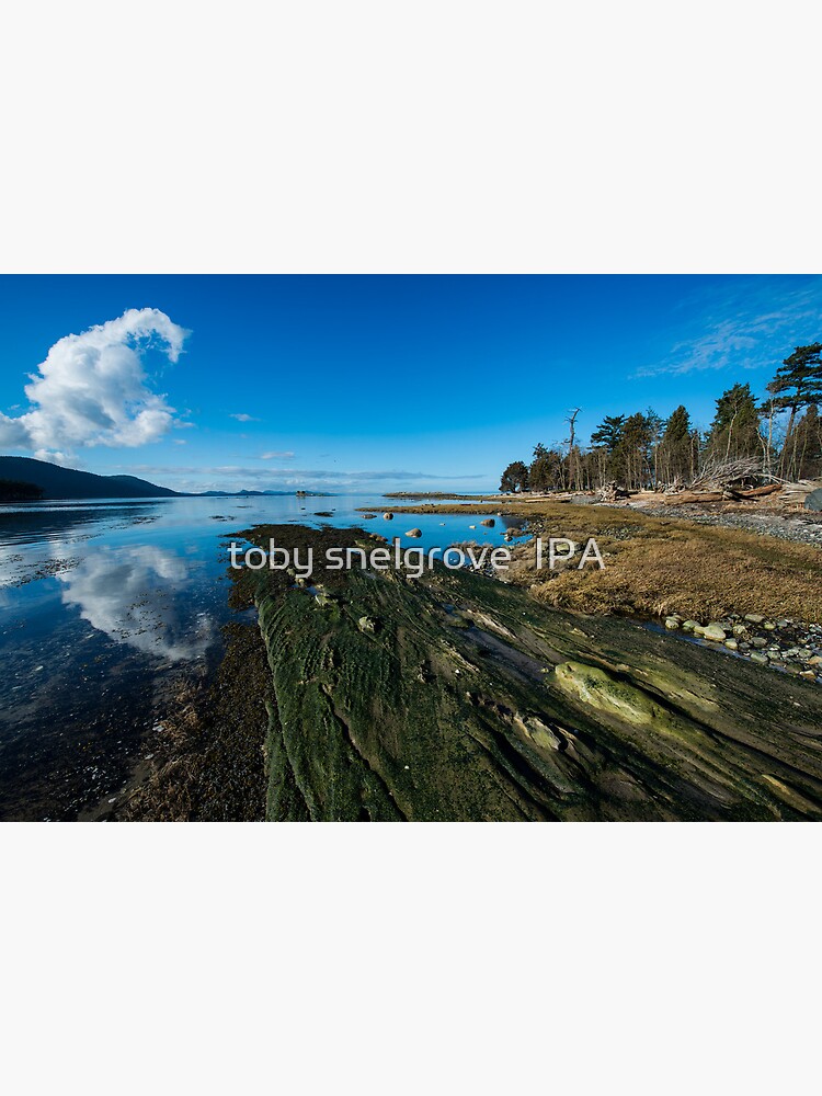 Cabbage Island Marine Park: Afternoon in January by tobysnelgrove