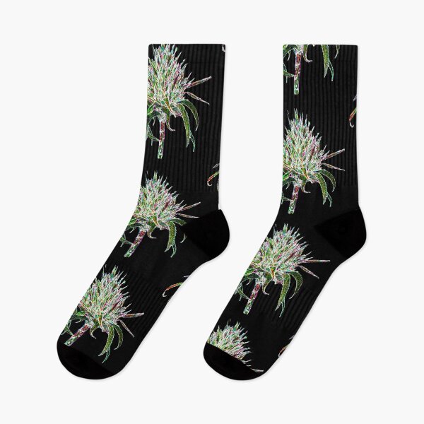 Artikelvorschau, Trendige Sommer 2020 Neonfarben Bromelienblüten entworfen und verkauft von EarthyPlanty.