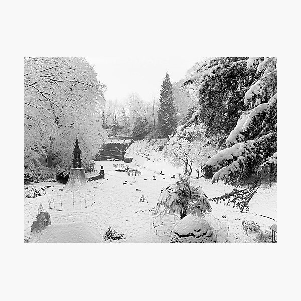 Secret Garden In The Snow Photographic Print