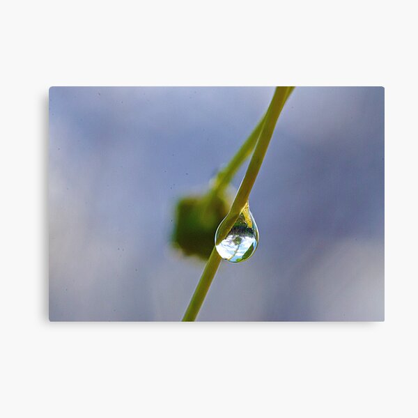 Small World Canvas Print