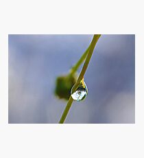 Small World Photographic Print