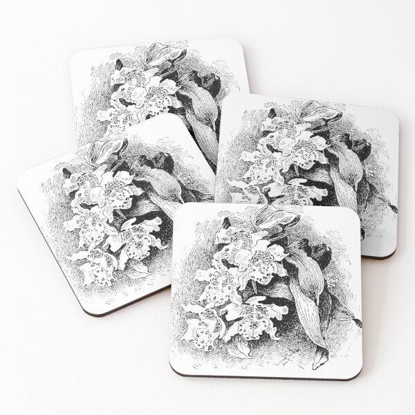 Item preview, drawn orchid flower designed and sold by ALINNAN789.