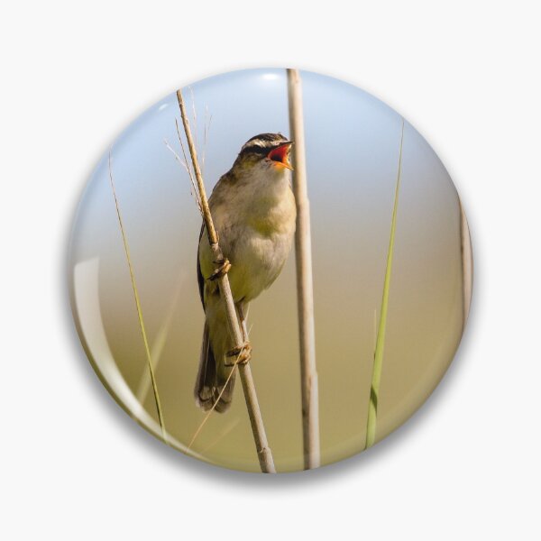 Item preview, Singing Sedge Warbler Bird designed and sold by rwhooster.