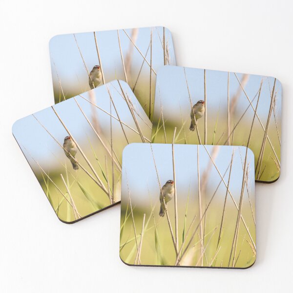 Item preview, Singing Sedge Warbler Bird designed and sold by rwhooster.