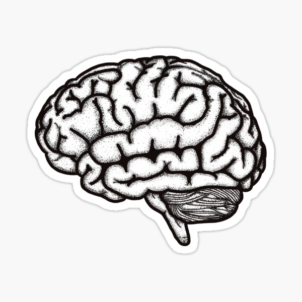 Anatomisches Gehirn Schwarz Weiss Sticker