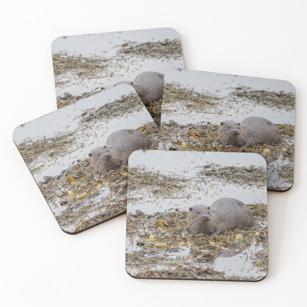 Item preview, Eursian Otter, Croggan, Isle of Mull designed and sold by Richard Greenwood.