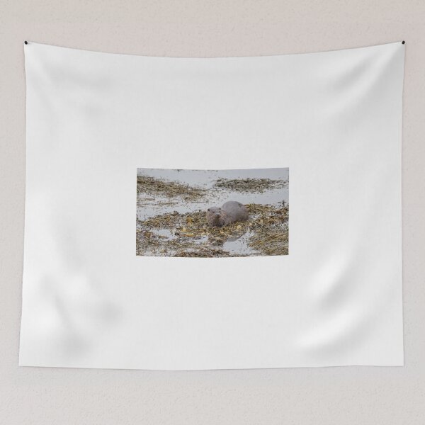 Item preview, Eursian Otter, Croggan, Isle of Mull designed and sold by Richard Greenwood.