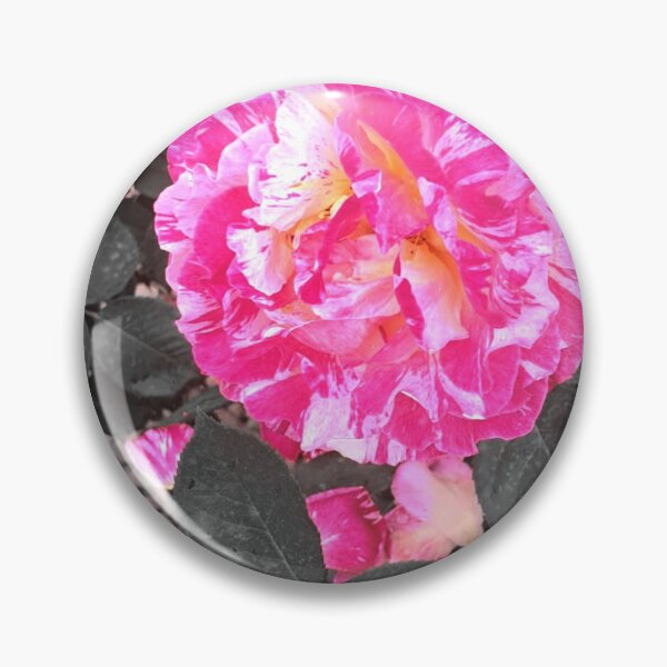 Item preview, Genus Rosa designed and sold by dacdibac.