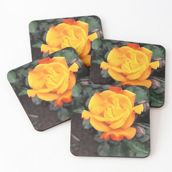 Item preview, Garden Real Rose Flower designed and sold by dacdibac.