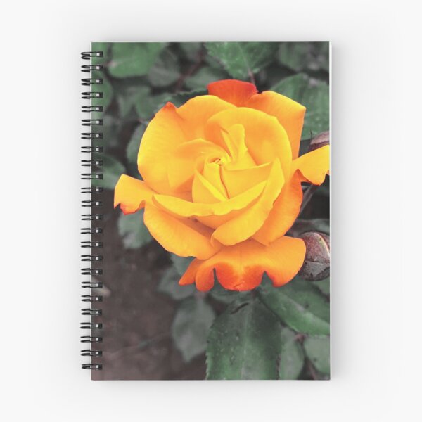 Item preview, Garden Real Rose Flower designed and sold by dacdibac.