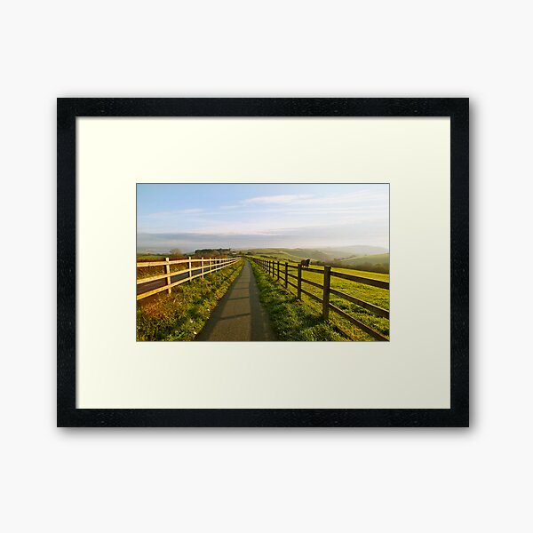 Morning Light Framed Art Print