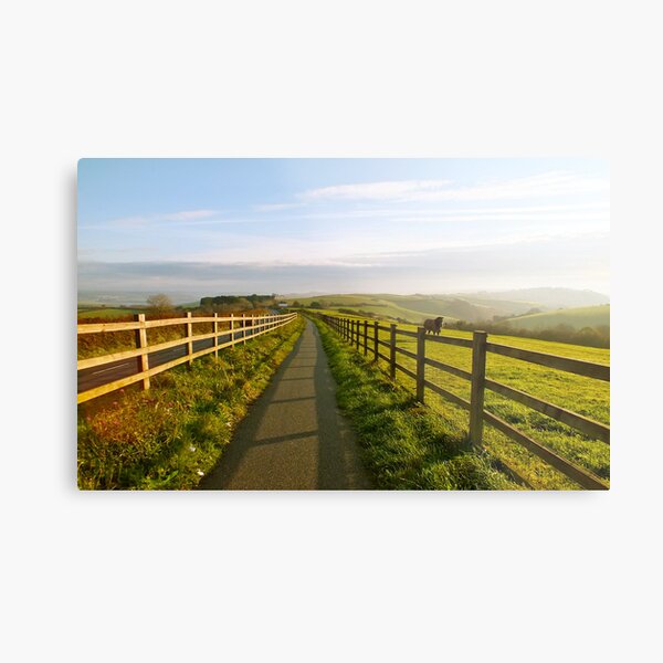 Morning Light Metal Print