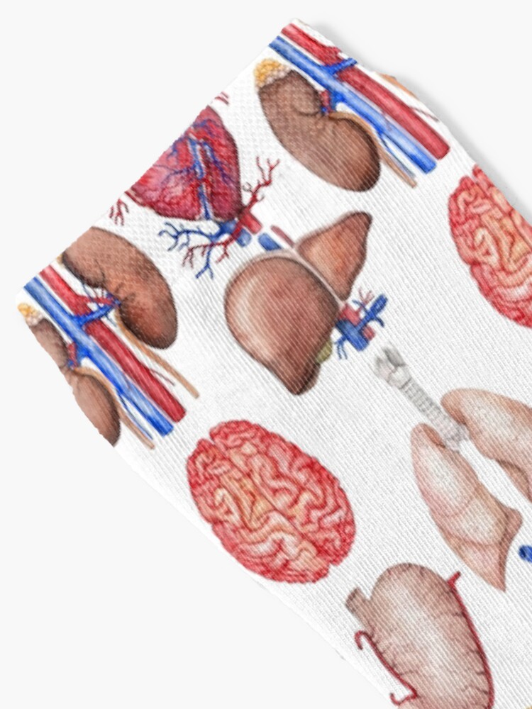 Alternate view of Watercolor anatomy collection Socks