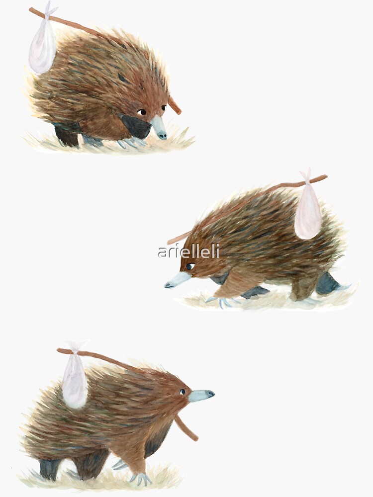 A Travelling Echidna - A Giant Australian Version of the Hedgehog by arielleli