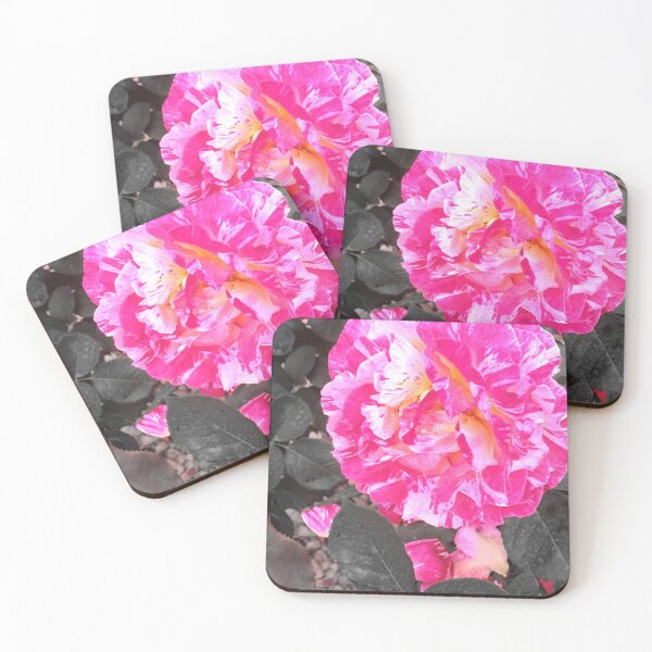 Item preview, Genus Rosa designed and sold by dacdibac.