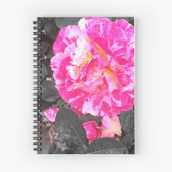 Item preview, Genus Rosa designed and sold by dacdibac.