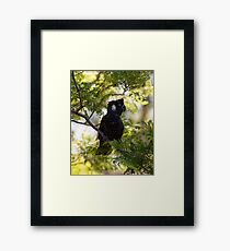 Who's watching who? Framed Print