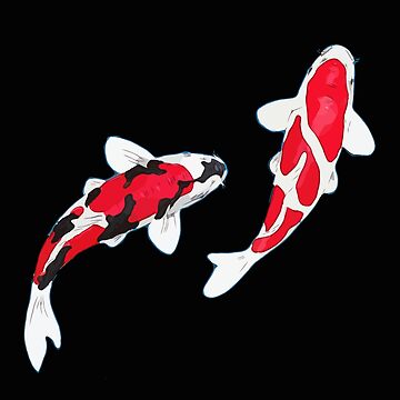 Artwork thumbnail, Koi Fish | Kuhaku Showa Sanke | Koi Fish Design | Black Background by Koiartsandus