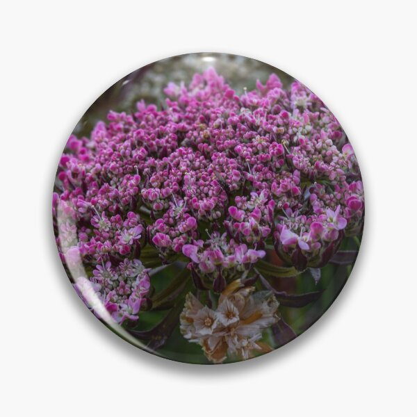 Item preview, Seaside Flowers designed and sold by Alice Dobrovolskis.
