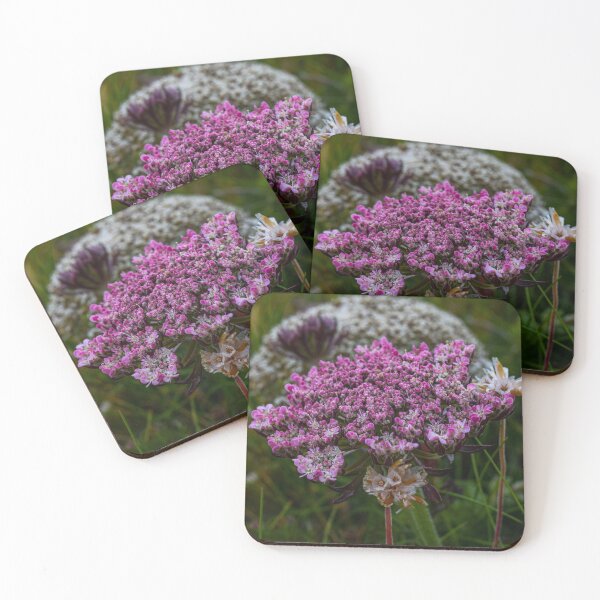 Item preview, Seaside Flowers designed and sold by Alice Dobrovolskis.