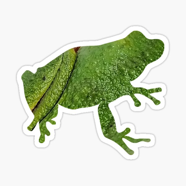 Item preview, Frog designed and sold by joeredbubble.