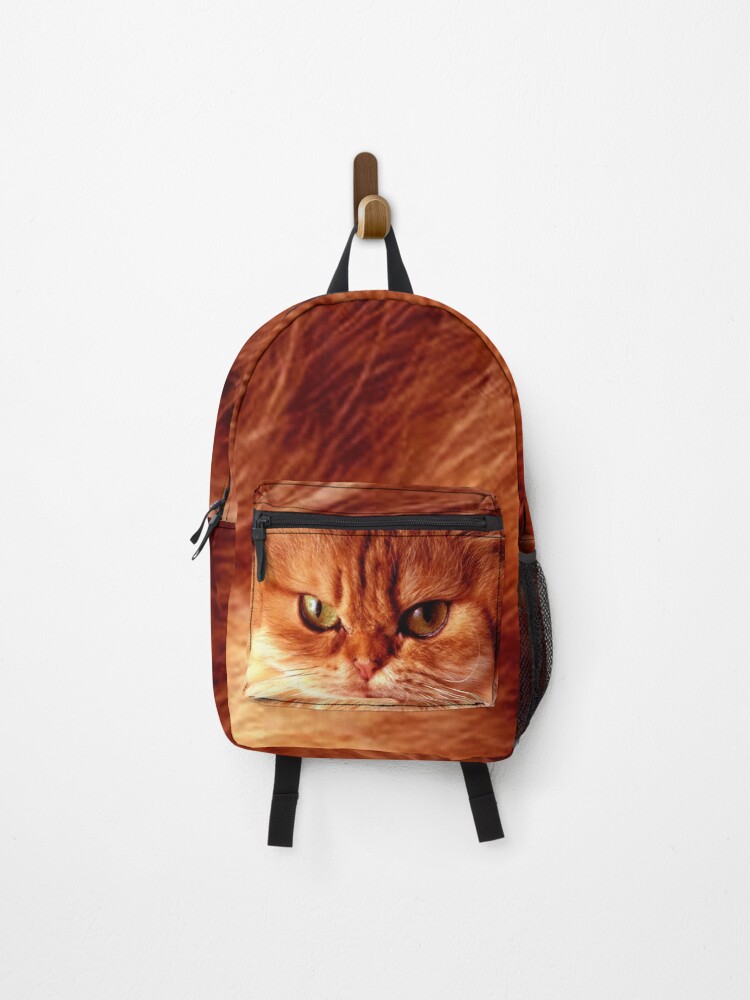 orange cat backpack