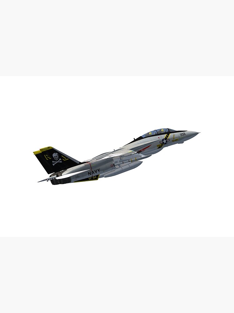 F-14 Tomcat by powerpointer
