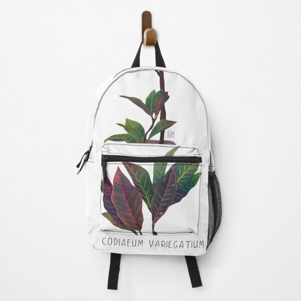 Item preview, Potted Crotons Plant Codiaeum Variegatium designed and sold by kimsketchbook.