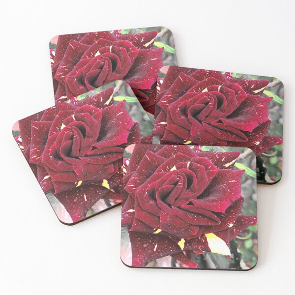 Item preview, Rosa Centifolia designed and sold by dacdibac.
