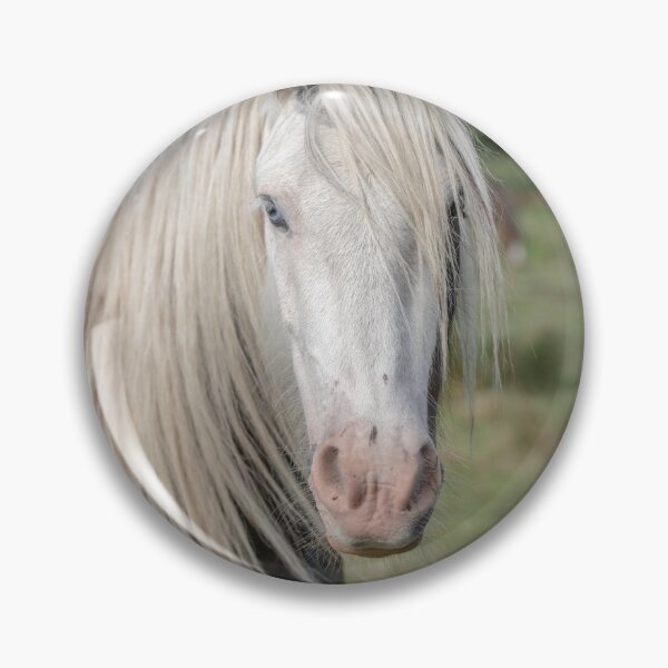 Item preview, Gypsy horse designed and sold by AWLPIX.