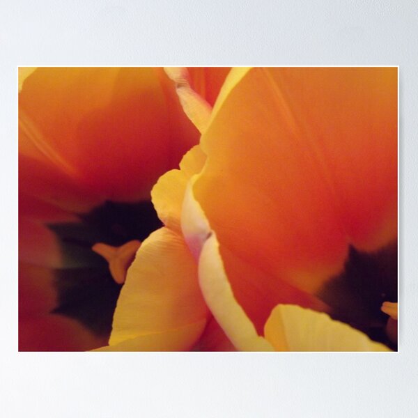 Item preview, Sunset Hues designed and sold by seeingred13.