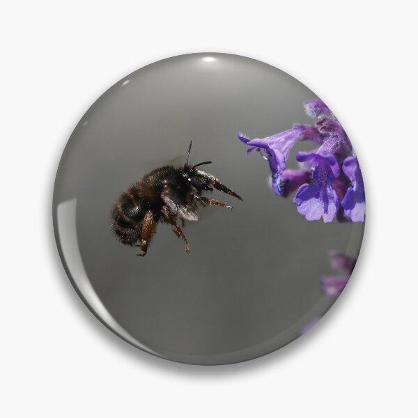 Item preview, Flower bee in flight designed and sold by GreyFeatherPhot.
