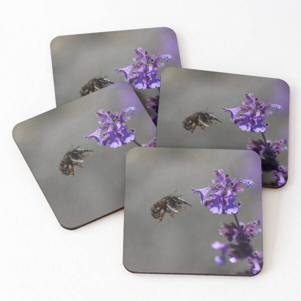 Item preview, Flower bee in flight designed and sold by GreyFeatherPhot.