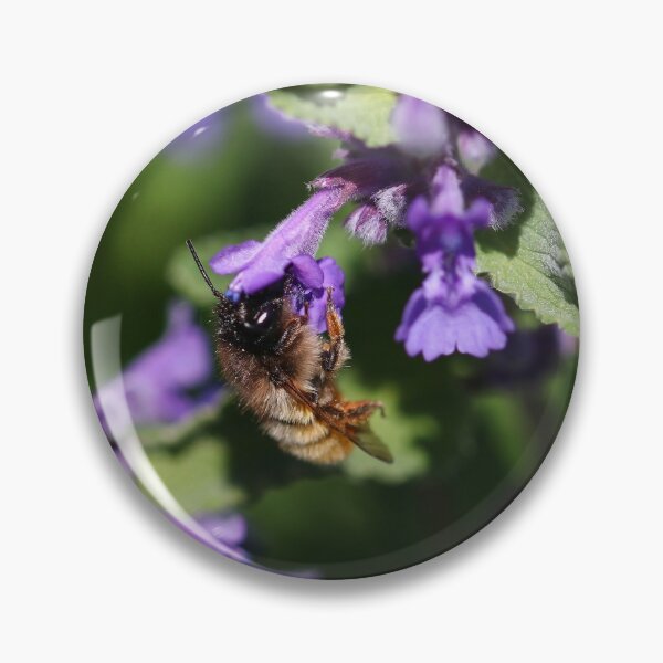 Item preview, Red mason bee designed and sold by GreyFeatherPhot.