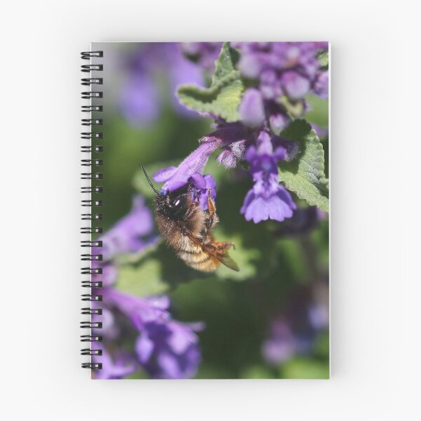 Item preview, Red mason bee designed and sold by GreyFeatherPhot.