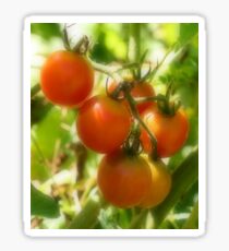 Red Cherry Tomatoes On The Vine Sticker