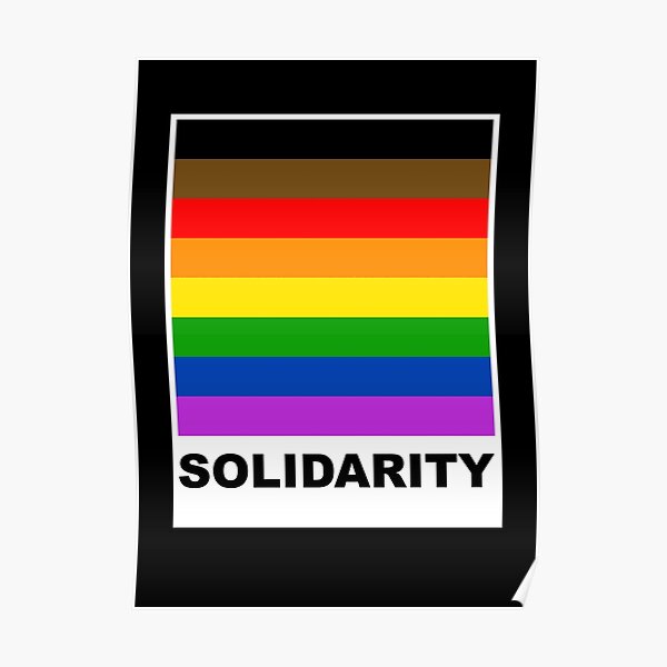 Solidarity Lgbt Pride Bipoc Flag Blm Poster For Sale By Activismwear