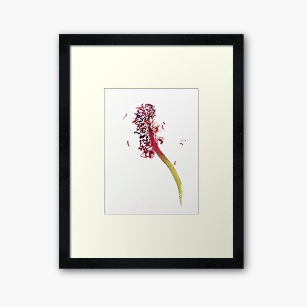 Hyacinth 1 Framed Art Print