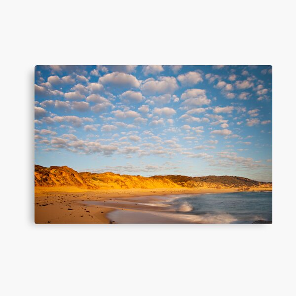 Back beach beauty Metal Print