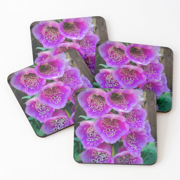 Item preview, Purple & pink Foxglove flower photo designed and sold by CMSWorldColour.